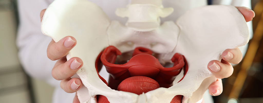 Physiotherapy Can Help Treat Urinary Incontinence